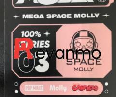 Model Space Molly - Image 3/4