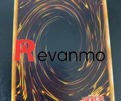 Card Yu-Gi-Oh
